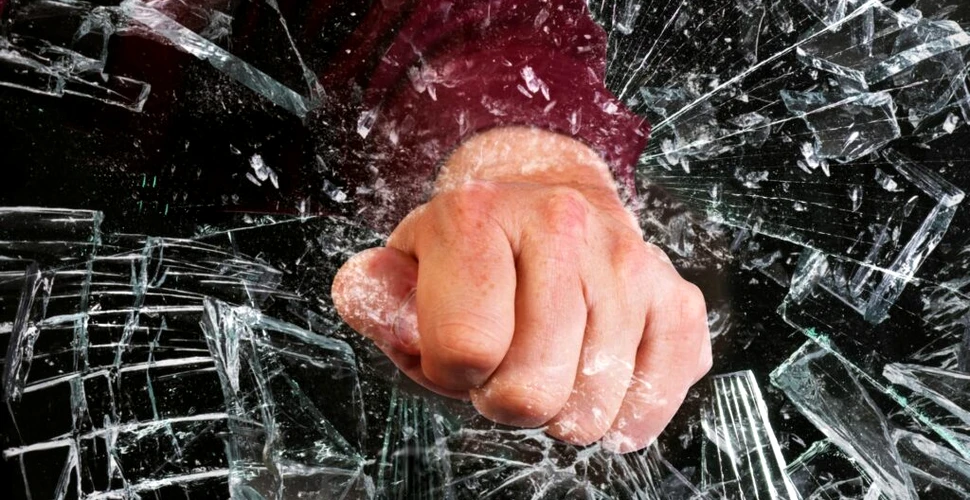 Suplimentul alimentar care reduce agresivitatea cu până la 28%