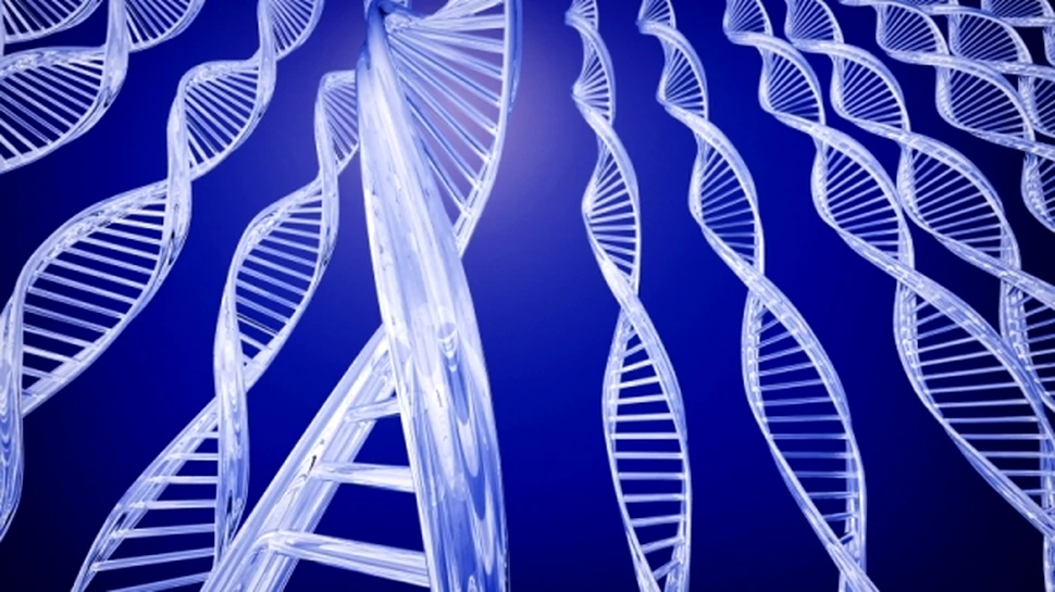 Ne vom afla in curand varsta reala