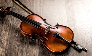 Viori Stradivarius din brazii doborâţi de furtuni