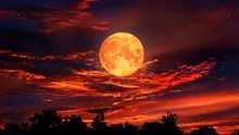 Cea mai spectaculoasă noapte astronomică din această vară