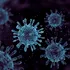 Oamenii de știință au descoperit un virus gigantic care se reproduce într-un mod complet unic