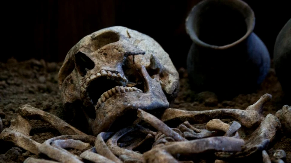 Un studiu asupra dinţilor britanicilor poate scoate la iveală detalii cruciale despre alimentaţia anticilor