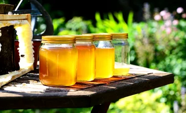 Noi reguli pentru comercianţii de miere din România. Legea apiculturii a fost modificată
