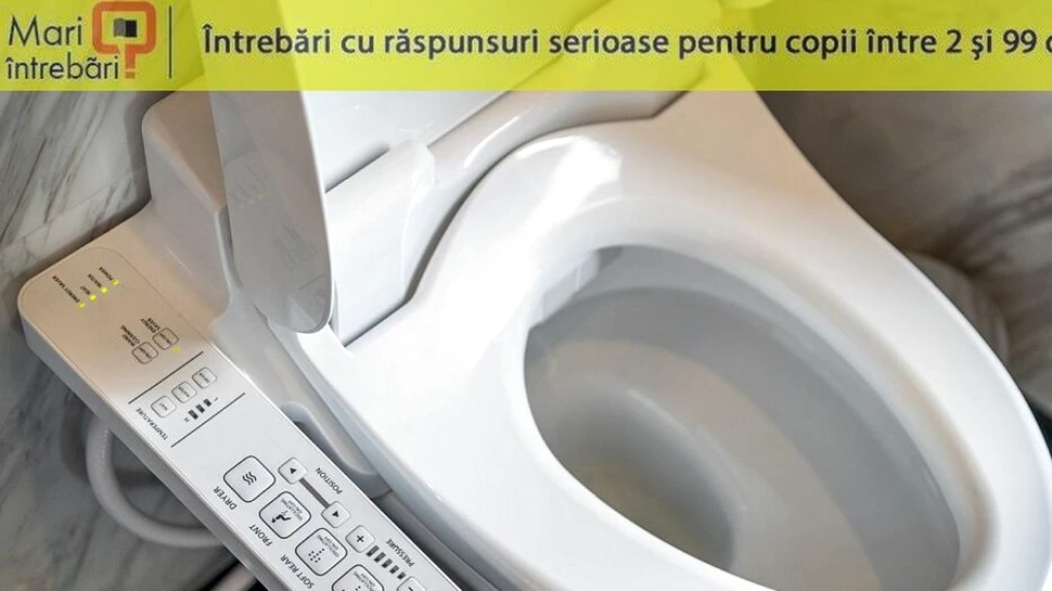 De ce sunt toaletele albe?
