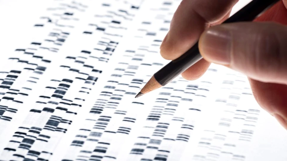 Un nou progres al tehnologiei CRISPR. Acum pot fi editate mai multe gene în acelaşi timp