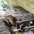 Un adăpost rupestru rar, vechi de 8.000 de ani, dezvăluie un moment de cotitură în istoria umanității