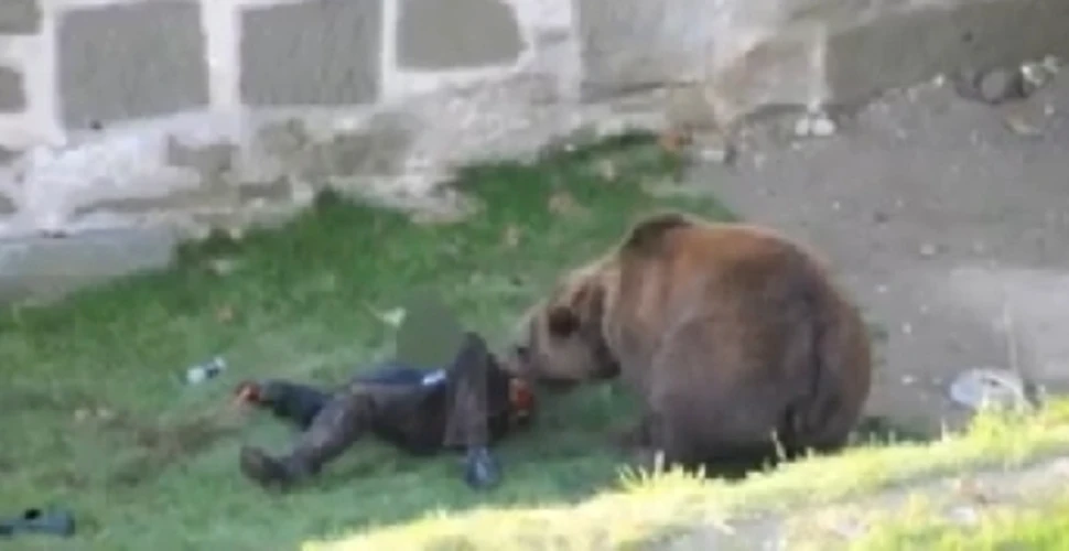 Un om este atacat de urs in fata camerei de filmat (VIDEO)