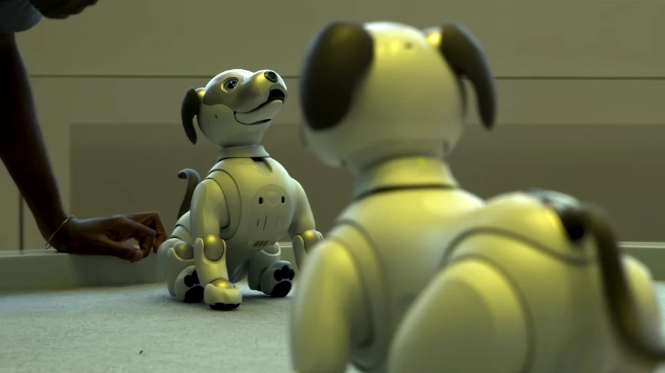 VIDEO Sony a scos câinele robot Aibo: este adorabil, dar preţul acestuia nu este pentru toate buzunarele