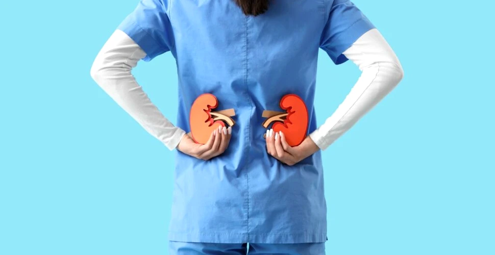 Test de cultură generală. Ce se întâmplă cu rinichii vechi după un transplant?