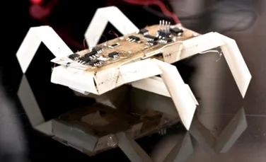 MIT face ca printarea roboţilor să fie la îndemâna publicului larg
