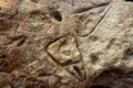 Oasele unui copil îngropat în urmă cu 40.000 de ani au elucidat un mister care i-a neliniștit mereu pe arheologi