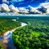 Veste bună din Brazilia! Defrișările din pădurea amazoniană au ajuns la cel mai scăzut nivel din 2019 încoace