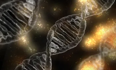 Oamenii au reuşit să proiecteze un organism al cărui cod genetic este în întregime sintetic