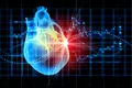 Oamenii de știință au creat inima biorobotică ce bate precum cea reală