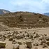 Arheologii din Peru au descoperit rămășițele unei femei din civilizația Caral