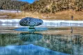 Cum se formează pietrele Zen de pe Lacul Baikal? Cercetătorii au înțeles în sfârșit procesul