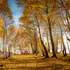 Vremea în octombrie. Temperaturile anunțate de meteorologi