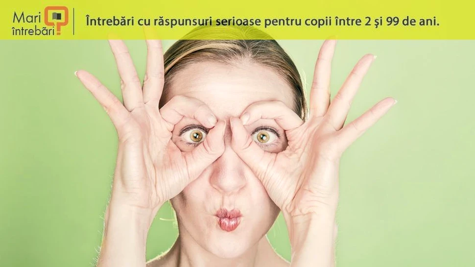 Ce se întâmplă când clipeşti?