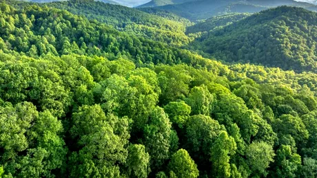 Vacanța perfectă de toamnă: iată cele mai bune trasee de mers pe munte!