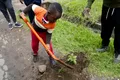 „Vacanță specială” în Kenya: Guvernul îndeamnă oamenii să planteze copaci