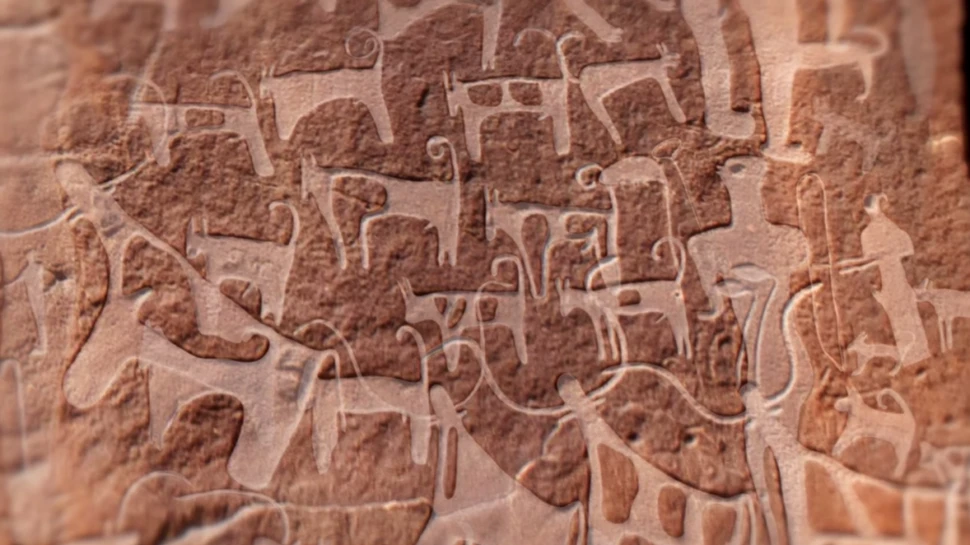 O imagine schimbă parcursul istoric al prieteniei dintre om şi câine. Animalul a fost domesticit de către om în urmă cu 8.000 de ani