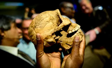 Cel mai vechi sit funerar din lume datează dinaintea lui Homo sapiens