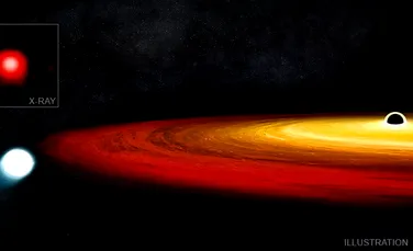 Astronomii au descoperit o stea care a fost aproape înghițită de o gaură neagră, însă a supraviețuit