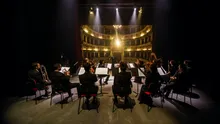 Un studiu arată ce se întâmplă în creier în timpul unui concert live