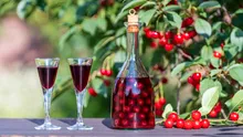 Festivalul cireșelor din Michigan se confruntă cu o criză agricolă: Fermierii se luptă cu schimbările climatice și lipsa forței de muncă