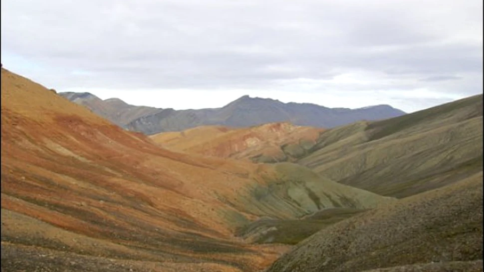 Pe Pământ au avut loc în realitate şase extincţii în masă. Ce s-a întâmplat în urmă cu 260 de milioane de ani
