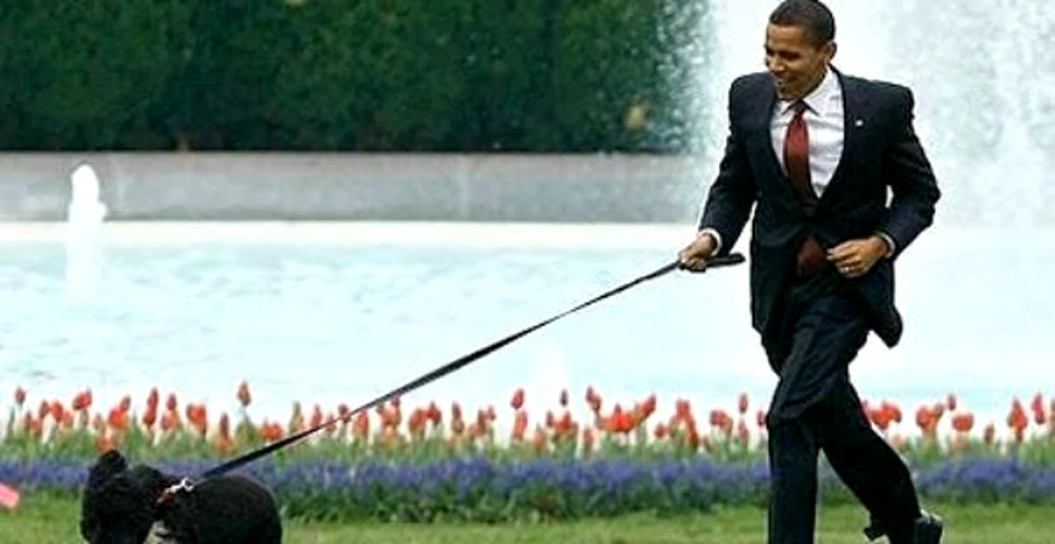 Cat costa cainele lui Obama?