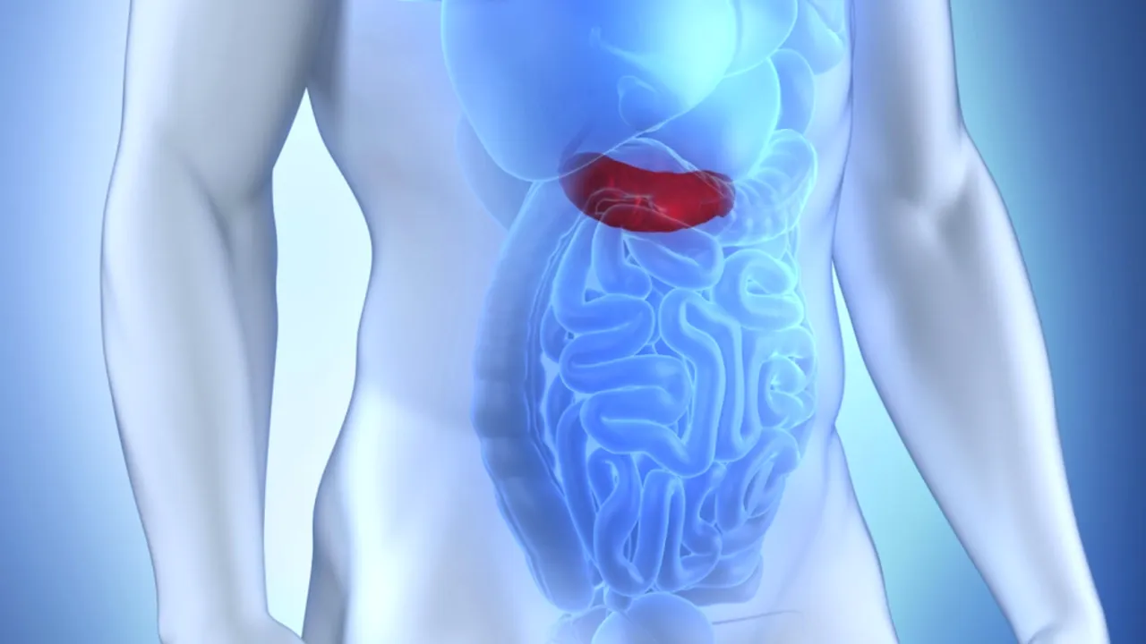 1-pancreas 