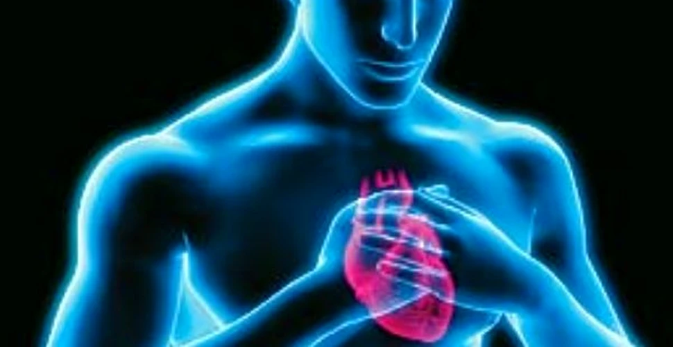 Suplimentele de calciu cresc intr-adevar riscul de infarct?