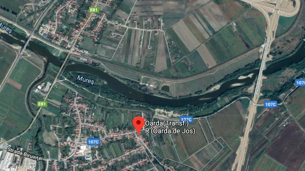 „Dragonul zburător” din Transilvania, descoperirea uriaşă făcută de cercetători români şi americani