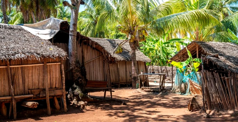 Foametea din Madagascar. Prima țară din lume victimă a schimbărilor climatice