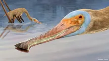 O specie neobișnuită de pterozaur, cu 400 de dinți asemănători unor cârlige, a fost descoperită