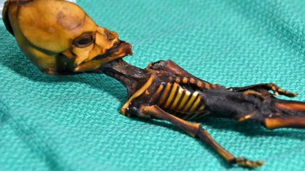 Misterul micului ”extraterestru” din Atacama a fost în sfârşit elucidat şi era mai puţin bizar dacă într-adevăr provenea de pe altă planetă