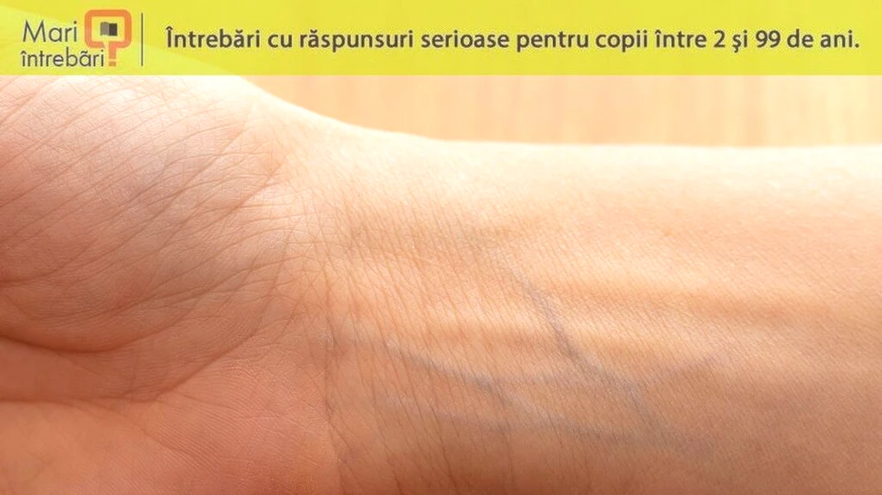 De ce venele sunt greu de găsit la unii oameni?