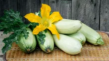 Test de cultură generală. Care este diferența dintre zucchini și castravete?