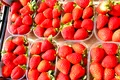 Alimentele din afara Uniunii Europene depășesc tot mai des limitele de pesticide