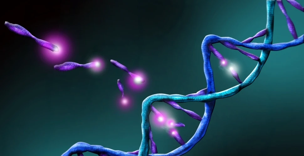 Genele noastre conţin fragmente de ADN non-uman. ”Am putea fi mai puţin umani decât am crezut”