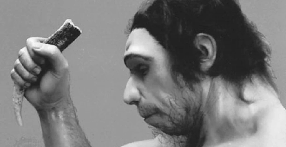Au fost oamenii de Neanderthal vanati cu pietre?