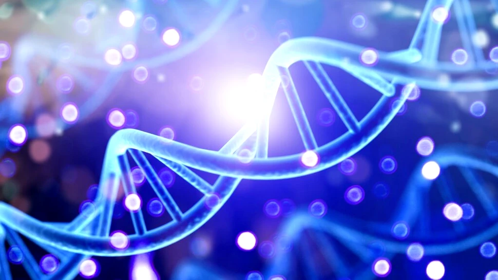 Oamenii și-au pierdut o abilitate biologică importantă din cauza evoluției. De ce?