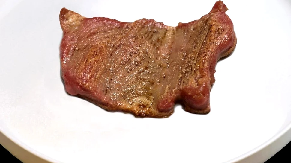 „Fripturi” vegetale printate 3D. O companie din Spania vrea să cucerească piața alternativelor la carne