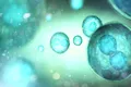 O singură celulă stem a produs peste 14 milioane de celule distrugătoare de cancer