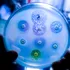 Cercetătorii au descoperit că microplasticele ar putea agrava rezistența la antibiotice