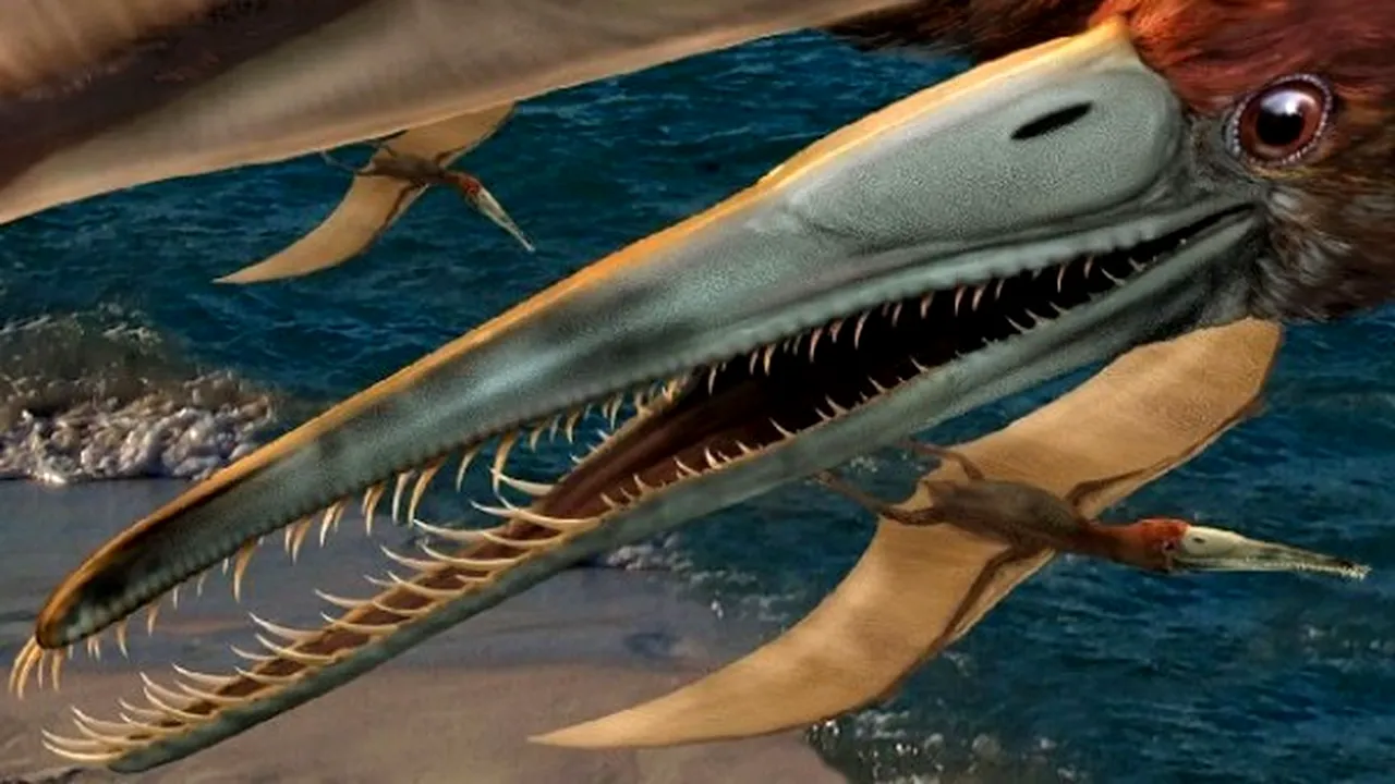 1-pterozaur 