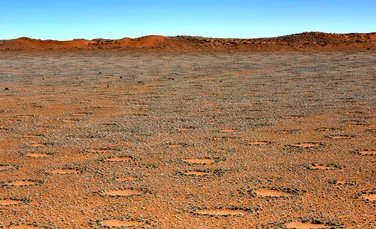 Misterul ”cercurilor zânelor” din deşertul Namib, care a intrigat pentru o lungă perioadă cercetătorii, a fost elucidat