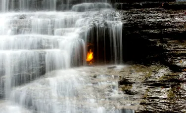 Cel mai frumos „foc viu” din lume îşi dezvăluie misterul (VIDEO)