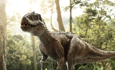 Cum își dau seama arheologii care este sexul unui dinozaur?